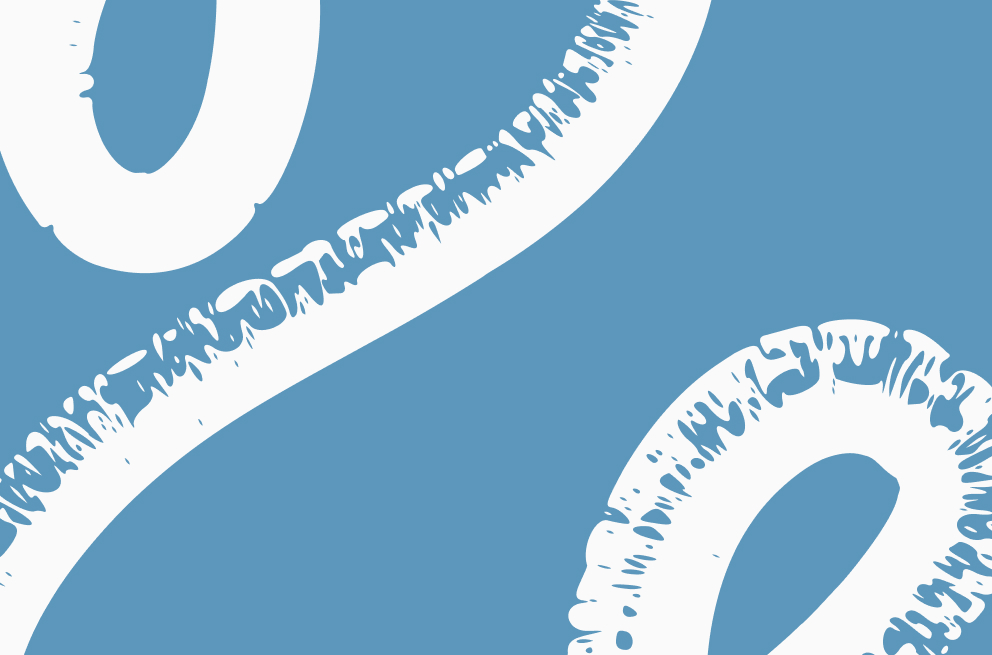 The Wool Library Rebrand, UX and  Design & Build Giant Peach